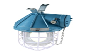 Non-Integral Wellglass (Ex-d IIA/B/C)